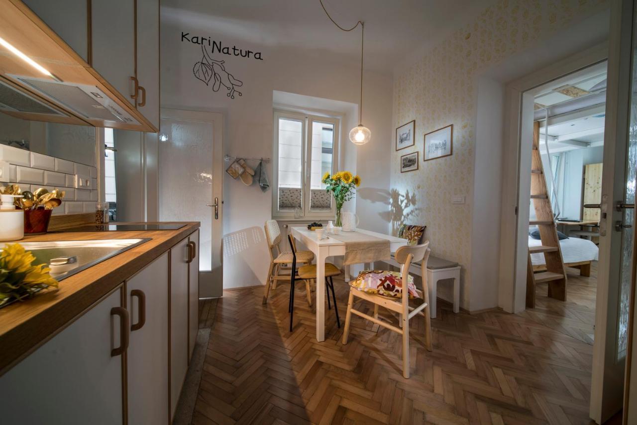 Karinatura Ljubljana Exterior foto